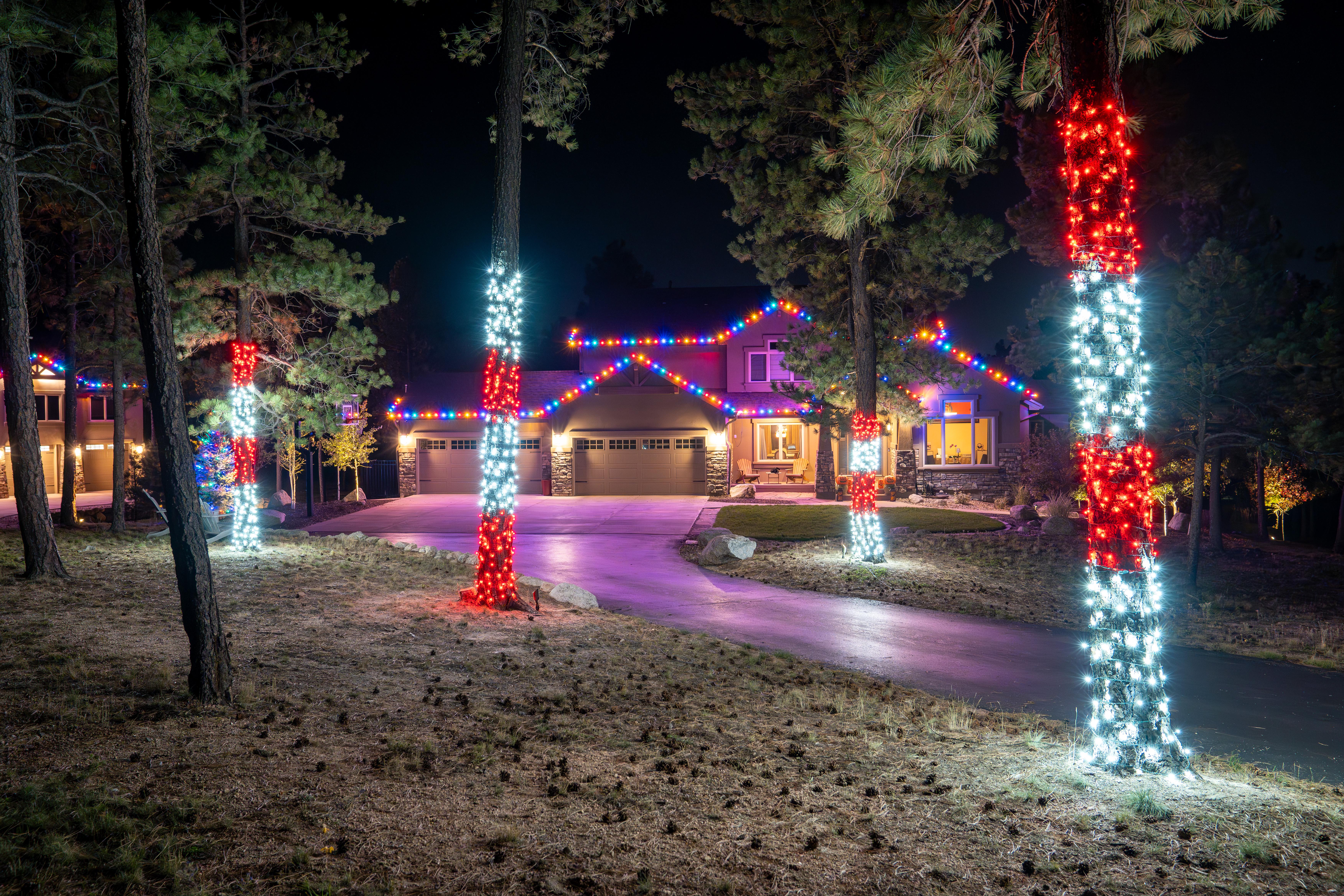 Colorful holiday lights along a tree-lined driveway