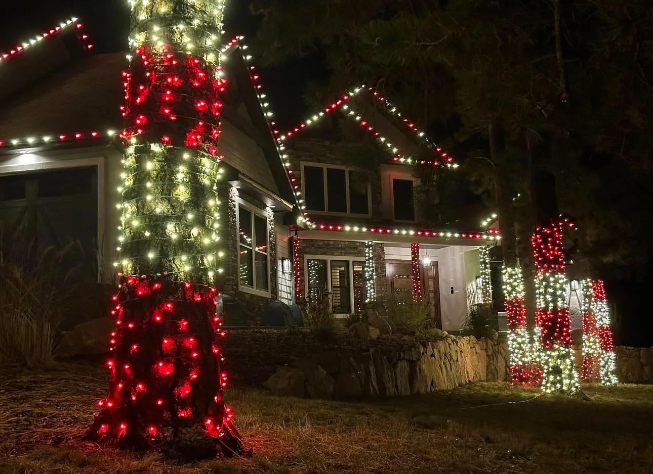 Wrapped trees with red and white lights